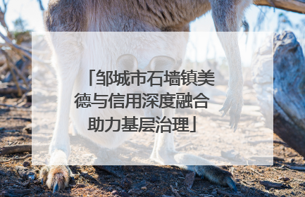 邹城市石墙镇美德与信用深度融合助力基层治理